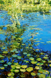 Original art for sale at UGallery.com | Lake Waddill by Onelio Marrero | $1,150 | oil painting | 18' h x 24' w | thumbnail 4