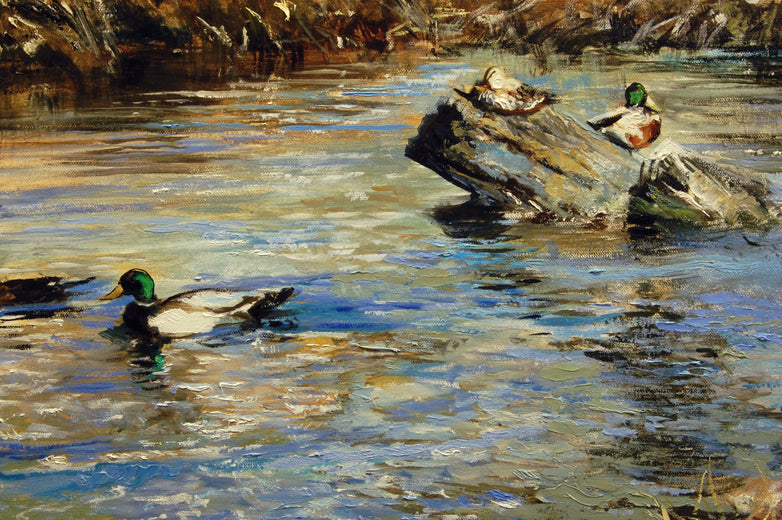 Mallard Pairs in Winter by Onelio Marrero |   Closeup View of Artwork 
