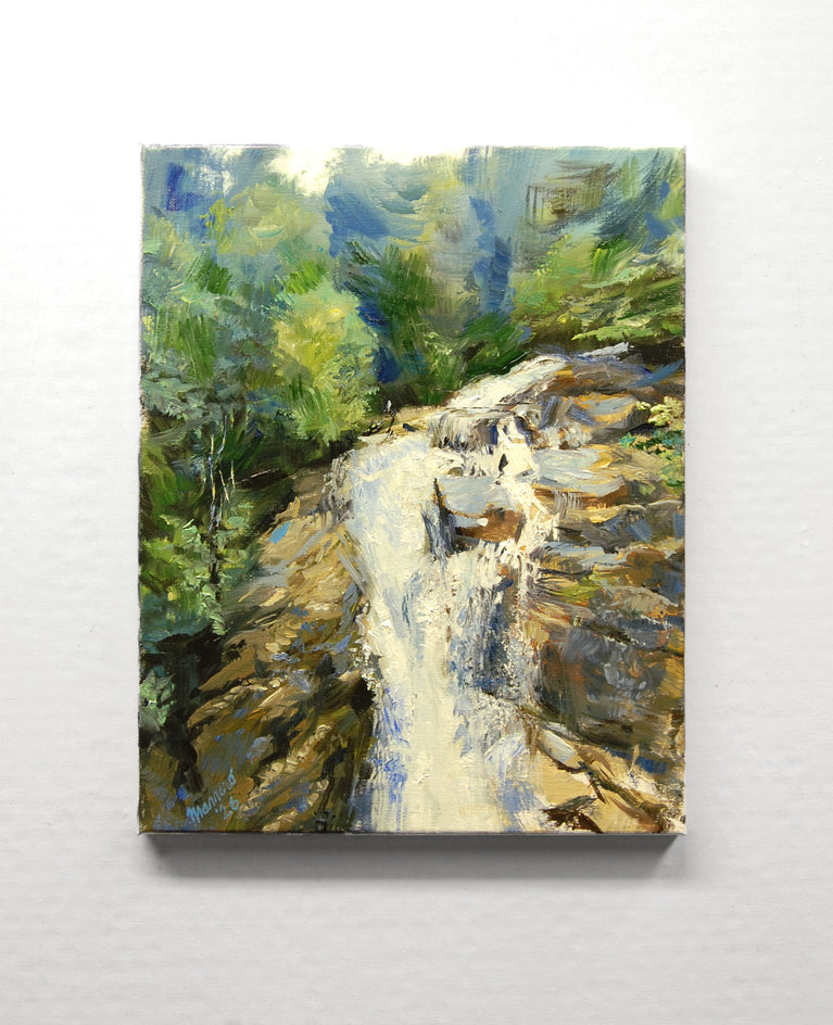 Pitch Fork Falls Skagway, Alaska by Onelio Marrero |  Context View of Artwork 