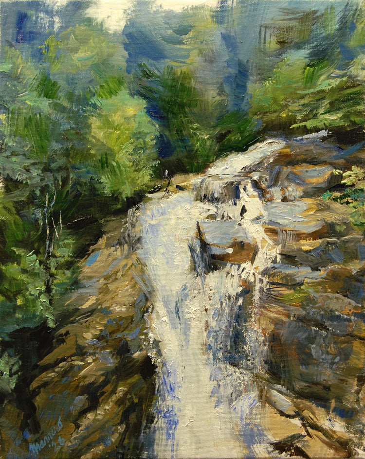 Pitch Fork Falls Skagway, Alaska by Onelio Marrero |  Artwork Main Image 