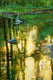 Original art for sale at UGallery.com | The Patient Heron by Onelio Marrero | $1,025 | oil painting | 16' h x 20' w | thumbnail 4