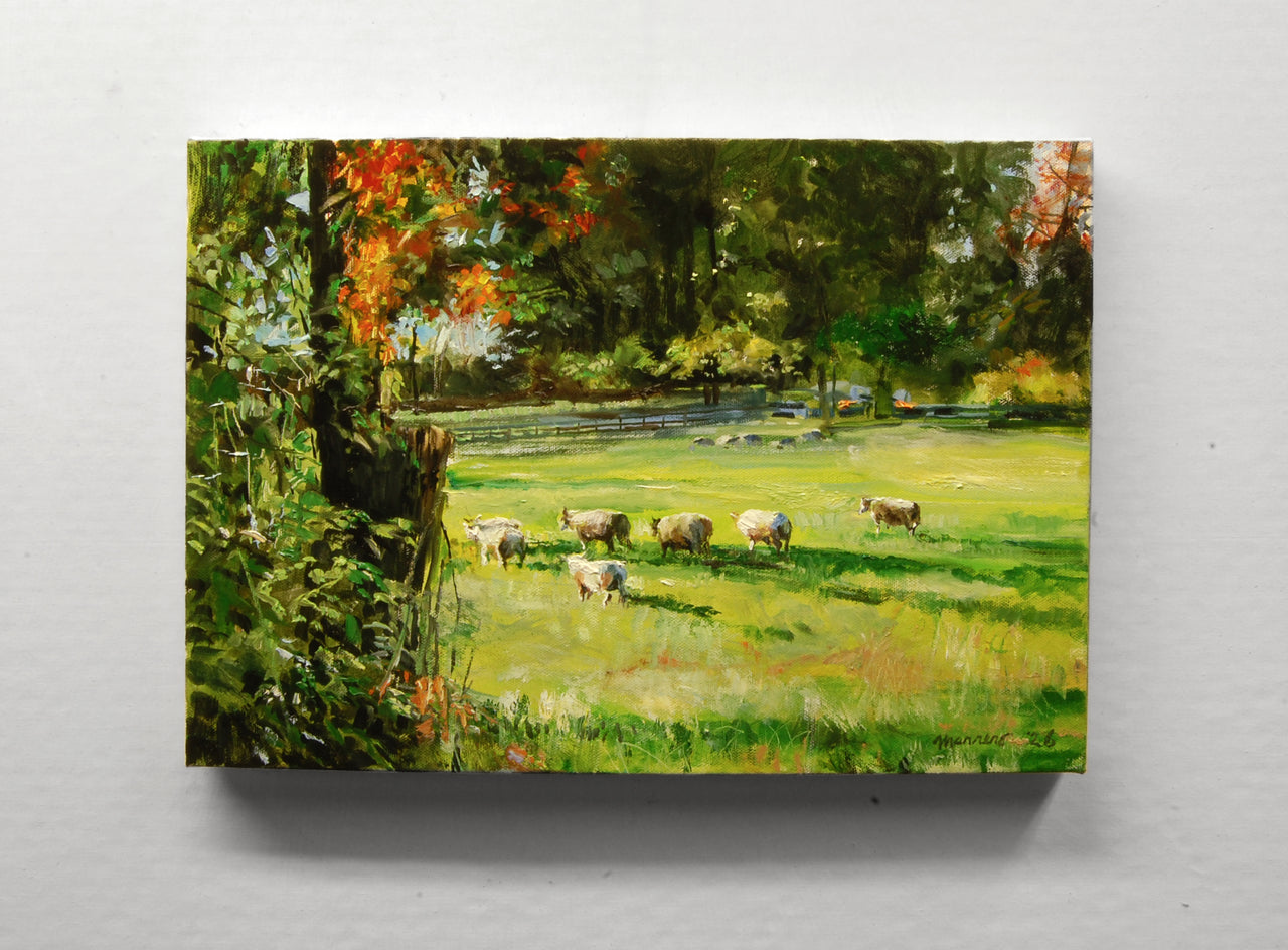 Timid Sheep by Onelio Marrero |  Context View of Artwork 