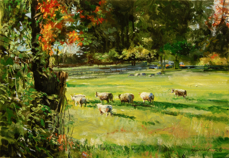 Timid Sheep by Onelio Marrero |  Artwork Main Image 