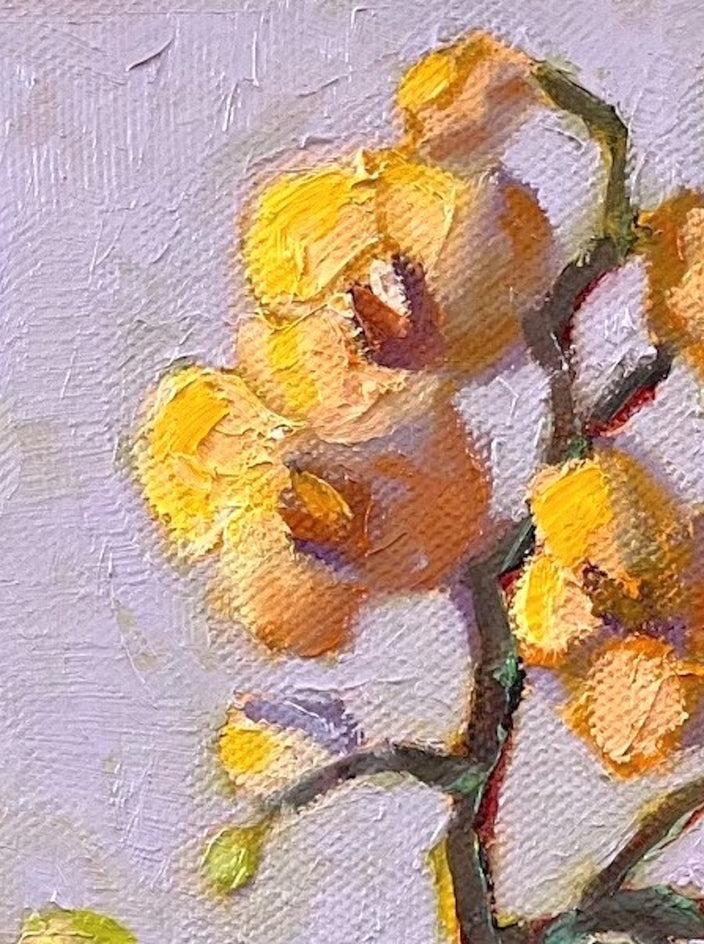 Peach Orchid by Pat Doherty |  Closeup View of Artwork 