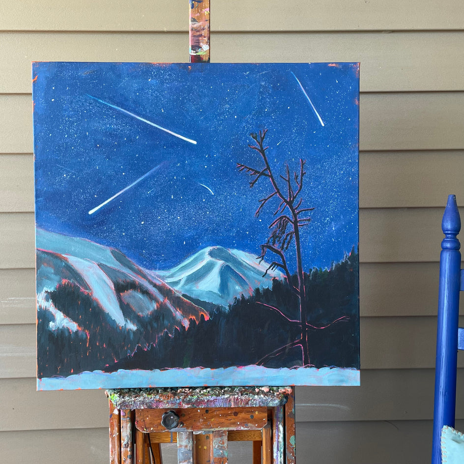 Night of the Shooting Stars by Phyllis Anderson |  Context View of Artwork 