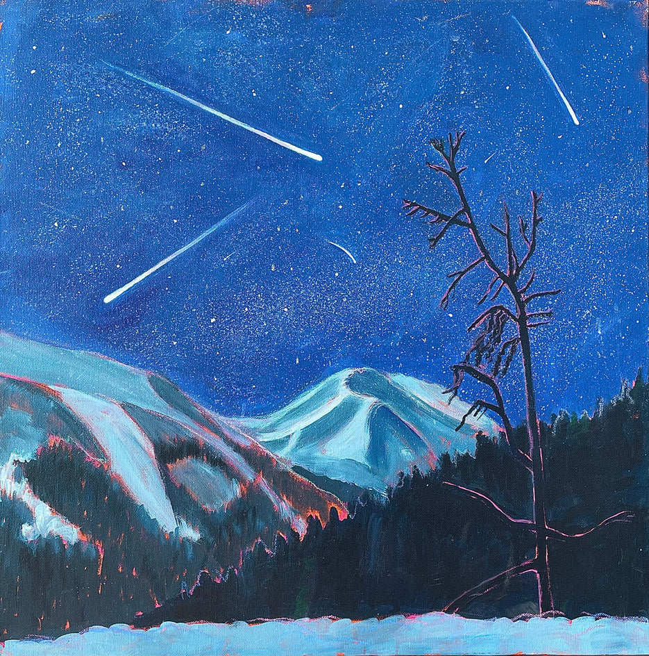 Night of the Shooting Stars by Phyllis Anderson |  Artwork Main Image 