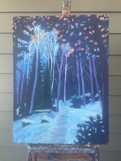 Winter Trail by Phyllis Anderson |  Context View of Artwork 