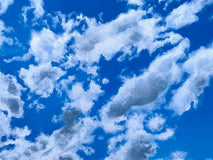 Original art for sale at UGallery.com | Disperse by Renee Noel | $3,600 | acrylic painting | 24' h x 48' w | thumbnail 4