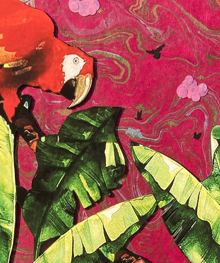 Red Parrot by Rick "Marlowe" Schneider |   Closeup View of Artwork 