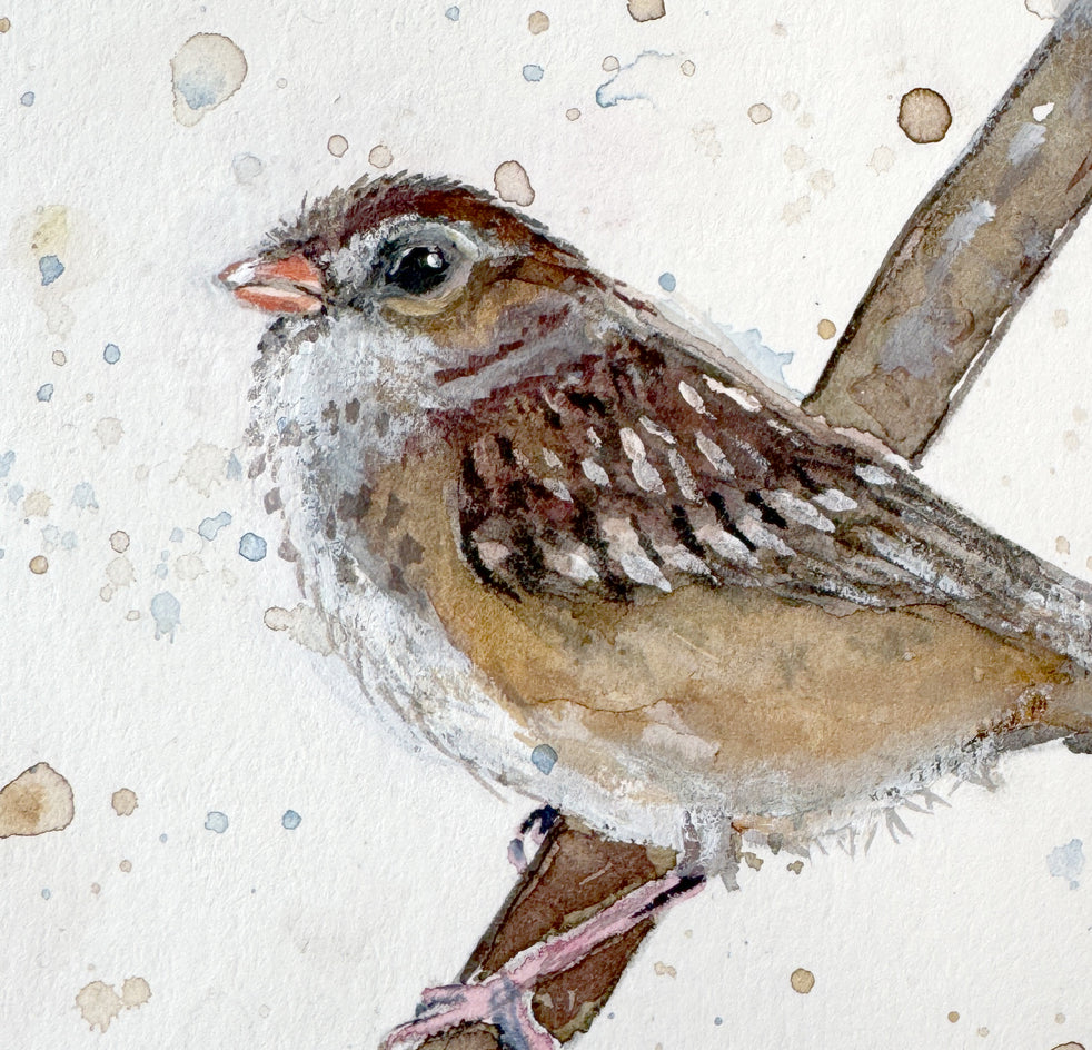 Jack by Sally Adams |  Closeup View of Artwork 