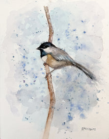 watercolor painting by Sally Adams titled Chilly Chickadee