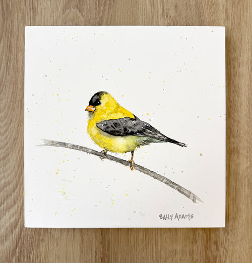 Goldie by Sally Adams |  Context View of Artwork 