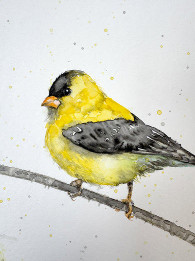 Goldie by Sally Adams |   Closeup View of Artwork 