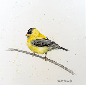 Original art for sale at UGallery.com | Goldie by Sally Adams | $400 | watercolor painting | 10' h x 10' w