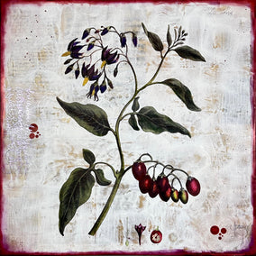 Original art for sale at UGallery.com | Bittersweet Nightshade by Shannon Amidon | $3,000 | encaustic artwork | 30' h x 30' w