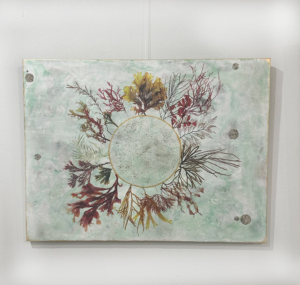 Marine Botanica by Shannon Amidon |  Context View of Artwork 