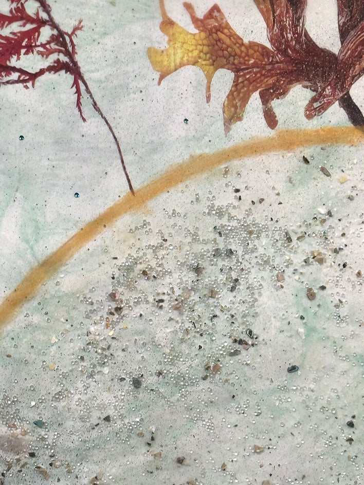 Marine Botanica by Shannon Amidon |  Closeup View of Artwork 