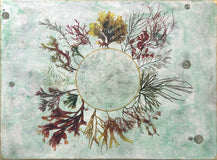 Original art for sale at UGallery.com | Marine Botanica by Shannon Amidon | $3,675 | encaustic artwork | 30' h x 40' w | thumbnail 1