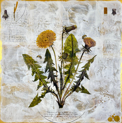 Dandelion by Shannon Amidon | Artwork Main Image