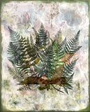 Original art for sale at UGallery.com | Forest Floor by Shannon Amidon | $2,175 | mixed media artwork | 30' h x 24' w | thumbnail 1
