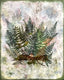 Original art for sale at UGallery.com | Forrest Floor by Shannon Amidon | $2,175 | mixed media artwork | 30' h x 24' w | thumbnail 1