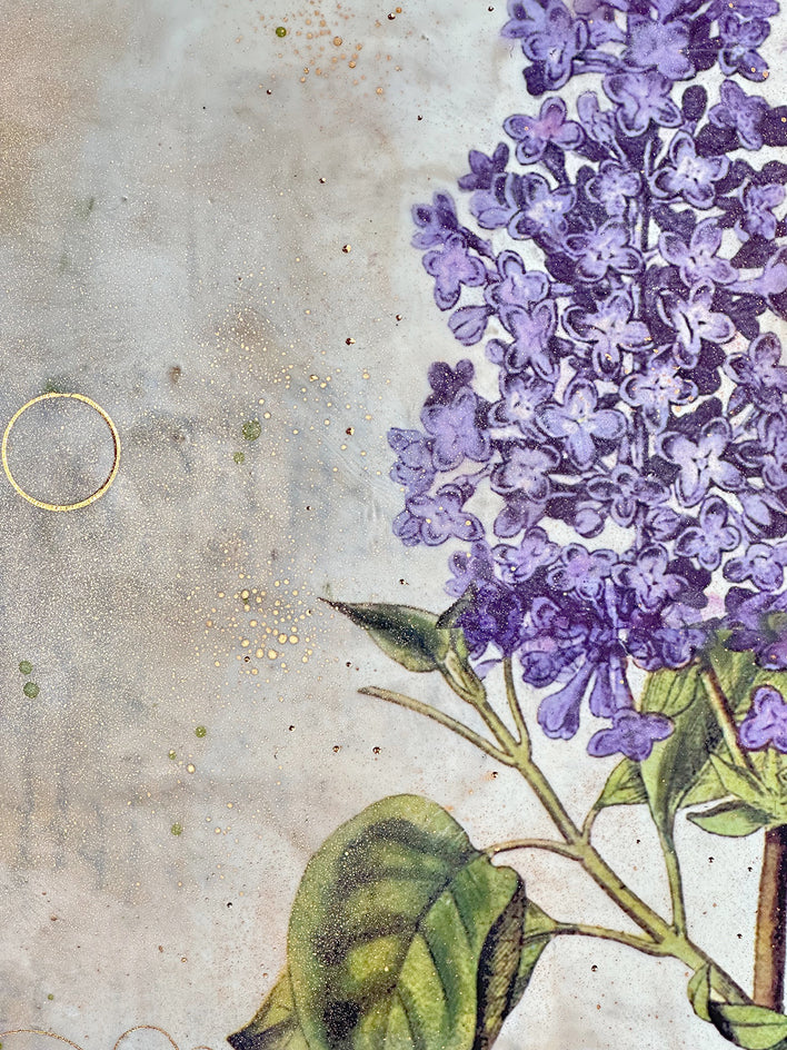Lilac by Shannon Amidon |  Closeup View of Artwork 