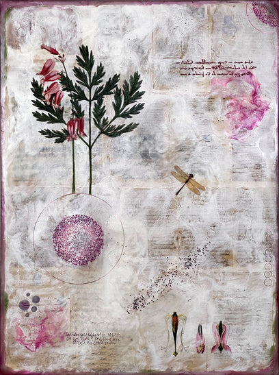 Pacific Bleeding Hearts by Shannon Amidon | Artwork Main Image