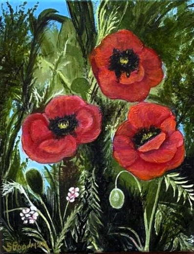 Poppies by Shela Goodman |  Artwork Main Image 