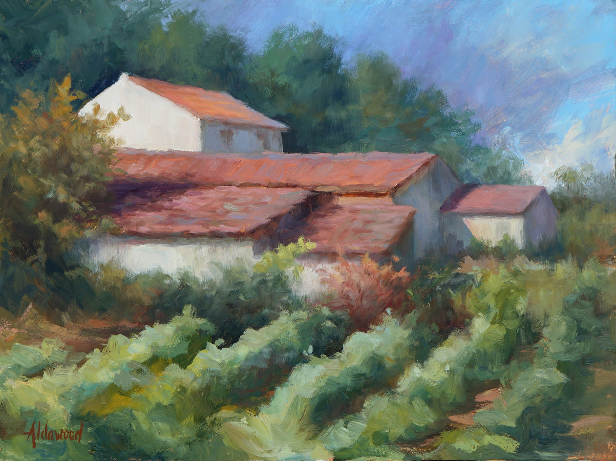 Provosende Vineyard by Sherri Aldawood |  Artwork Main Image 