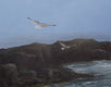 Original art for sale at UGallery.com | Monhegan Morning - Fog and Seagulls by Steve Boggs | $2,175 | oil painting | 30' h x 40' w | thumbnail 4