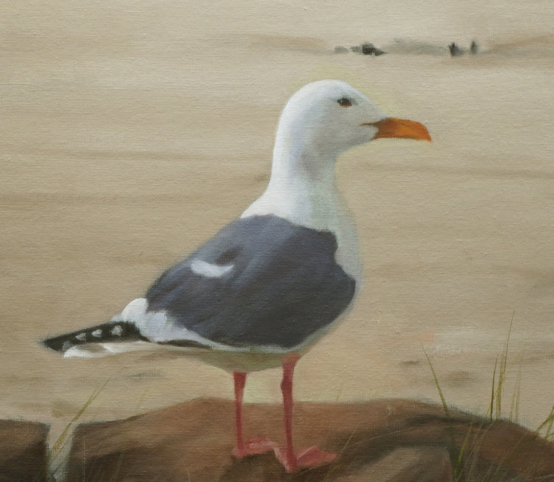 Seagull on a Rock by Steve Boggs |  Closeup View of Artwork 