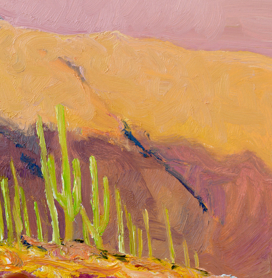 Sonoran Evening Light by Suren Nersisyan |  Side View of Artwork 