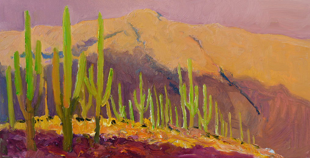 Sonoran Evening Light by Suren Nersisyan |  Artwork Main Image 