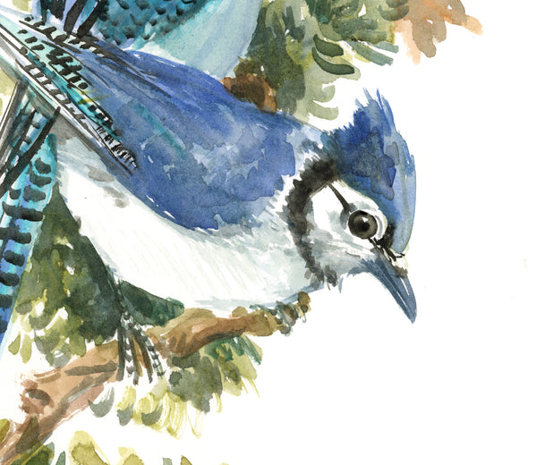 Blue Jays Among the Pines by Suren Nersisyan |  Side View of Artwork 
