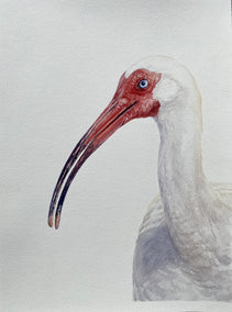 watercolor painting by Tetiana Savchenko titled A Little Flirting Won’t Hurt