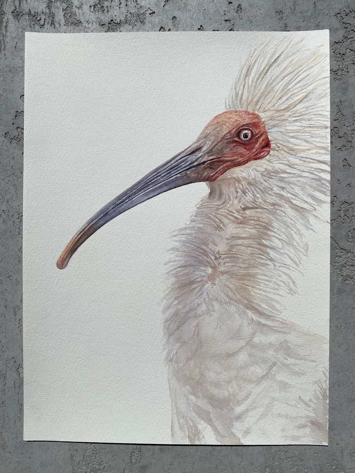 Bad Hair Day by Tetiana Savchenko |  Context View of Artwork 