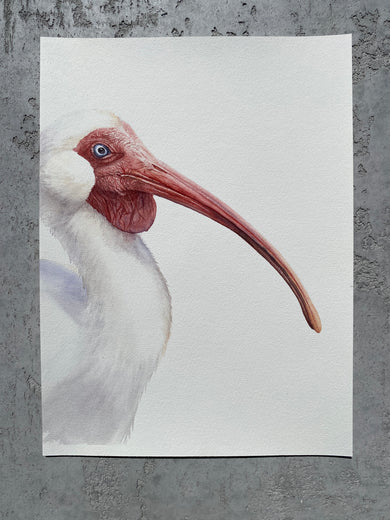 Caught Off Guard by Tetiana Savchenko |  Context View of Artwork 