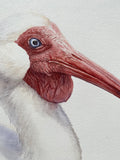 Original art for sale at UGallery.com | Caught Off Guard by Tetiana Savchenko | $525 | watercolor painting | 14.5' h x 10.5' w | thumbnail 4