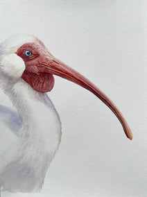 watercolor painting by Tetiana Savchenko titled Caught Off Guard