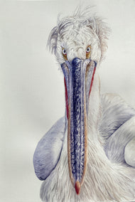 watercolor painting by Tetiana Savchenko titled Don't Blink