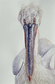 watercolor painting by Tetiana Savchenko titled Don't Blink