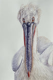 Original art for sale at UGallery.com | Don't Blink by Tetiana Savchenko | $750 | watercolor painting | 22' h x 15' w | thumbnail 1