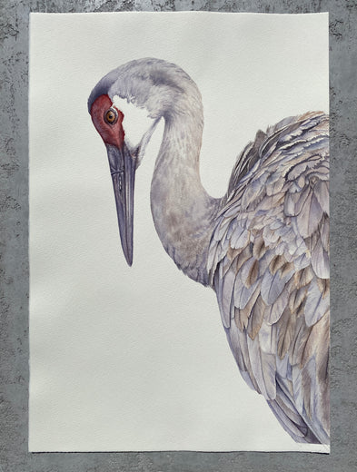 Feathered Elegance by Tetiana Savchenko |  Context View of Artwork 