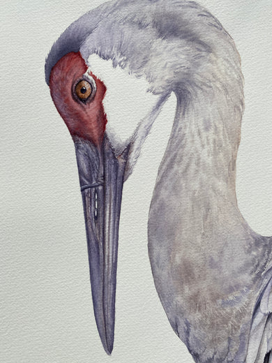 Feathered Elegance by Tetiana Savchenko |   Closeup View of Artwork 