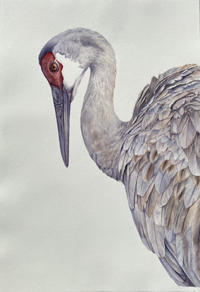 Original art for sale at UGallery.com | Feathered Elegance by Tetiana Savchenko | $750 | watercolor painting | 22' h x 15' w