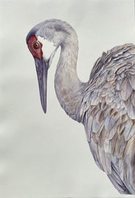 watercolor painting by Tetiana Savchenko titled Feathered Elegance