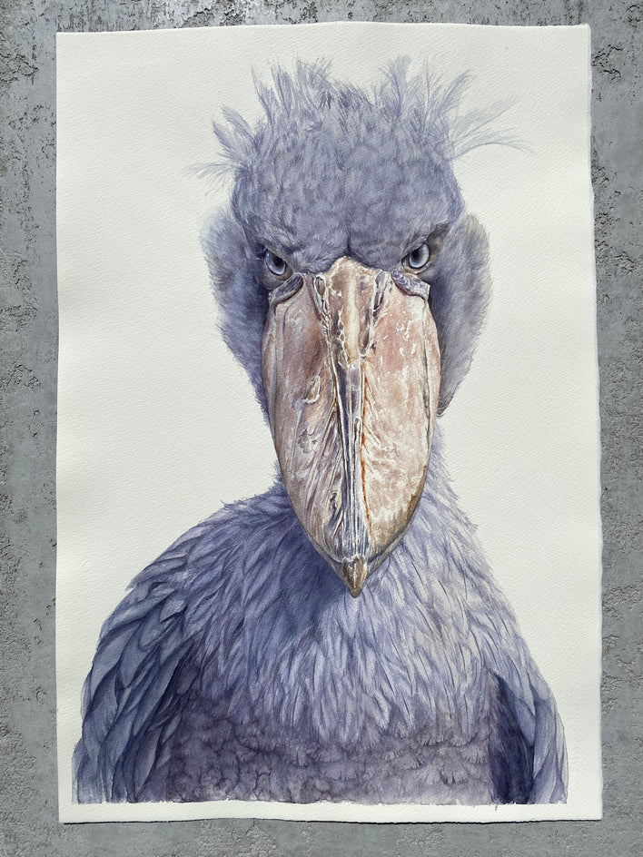 Staring Contest by Tetiana Savchenko |  Context View of Artwork 