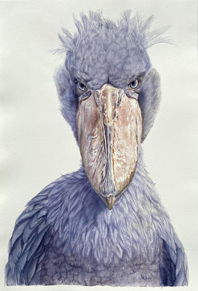Staring Contest by Tetiana Savchenko |  Artwork Main Image 