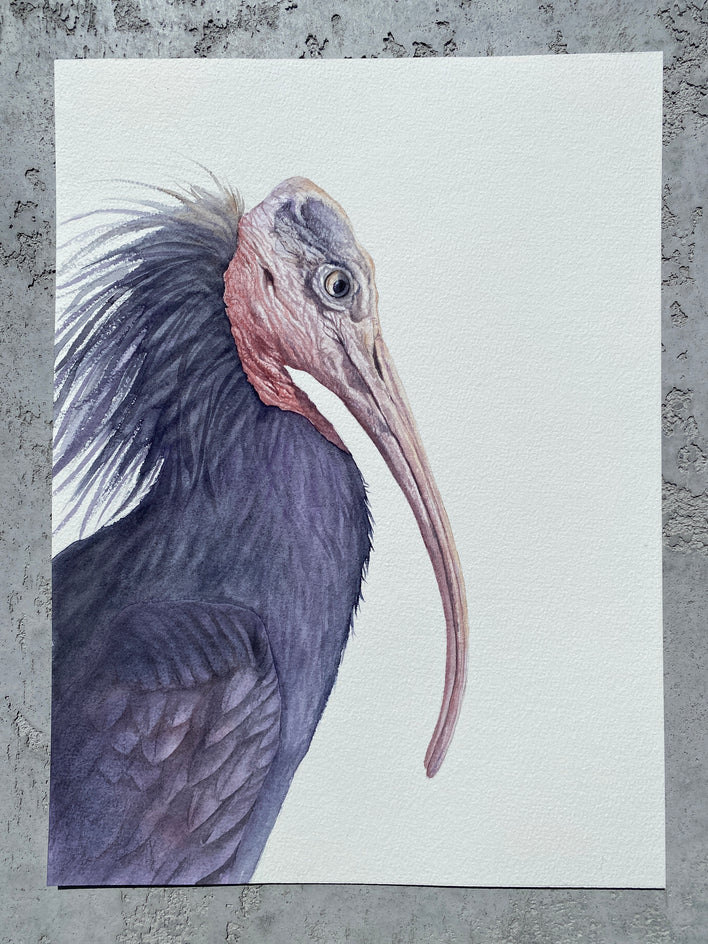 Watching Closely by Tetiana Savchenko |  Context View of Artwork 