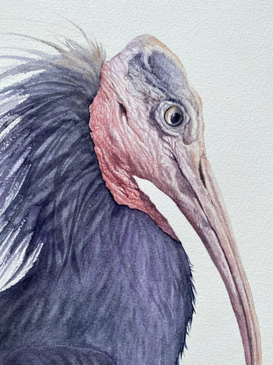 Watching Closely by Tetiana Savchenko |   Closeup View of Artwork 
